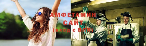 крисы Каменногорск