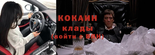 крисы Каменногорск