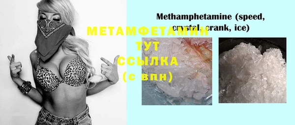крисы Каменногорск