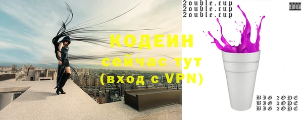 крисы Каменногорск