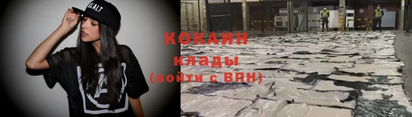 крисы Каменногорск