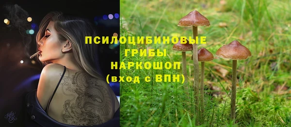 круглые Каменка
