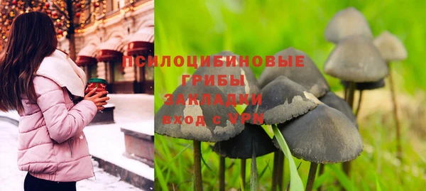 шишки Иннополис