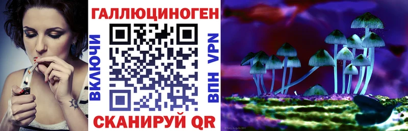 Купить  Райчихинск  Галлюциногенные грибы Magic Shrooms 