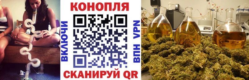 Каннабис MAZAR  Купить где  Райчихинск 